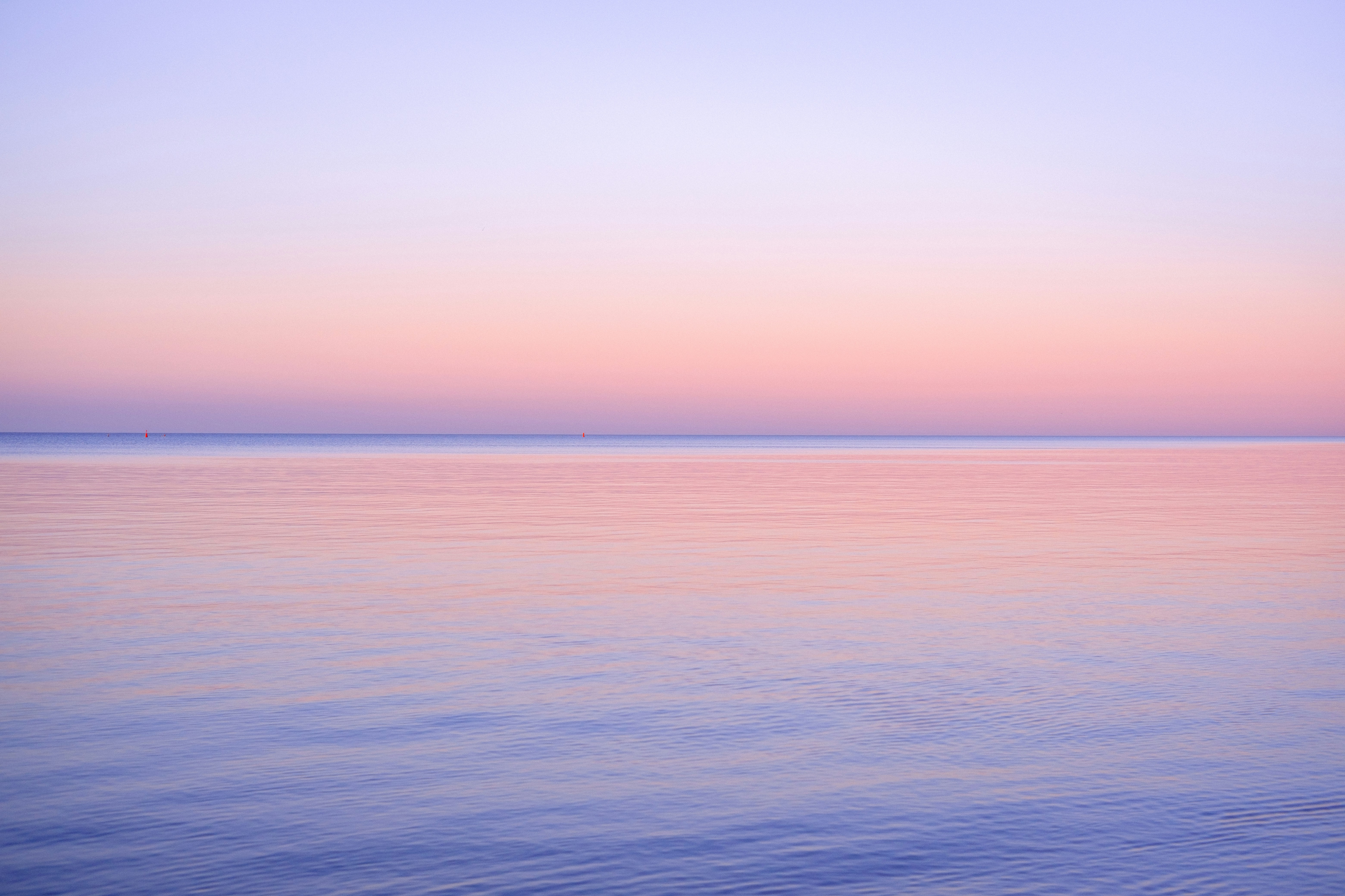 Finding Calm in the Chaos