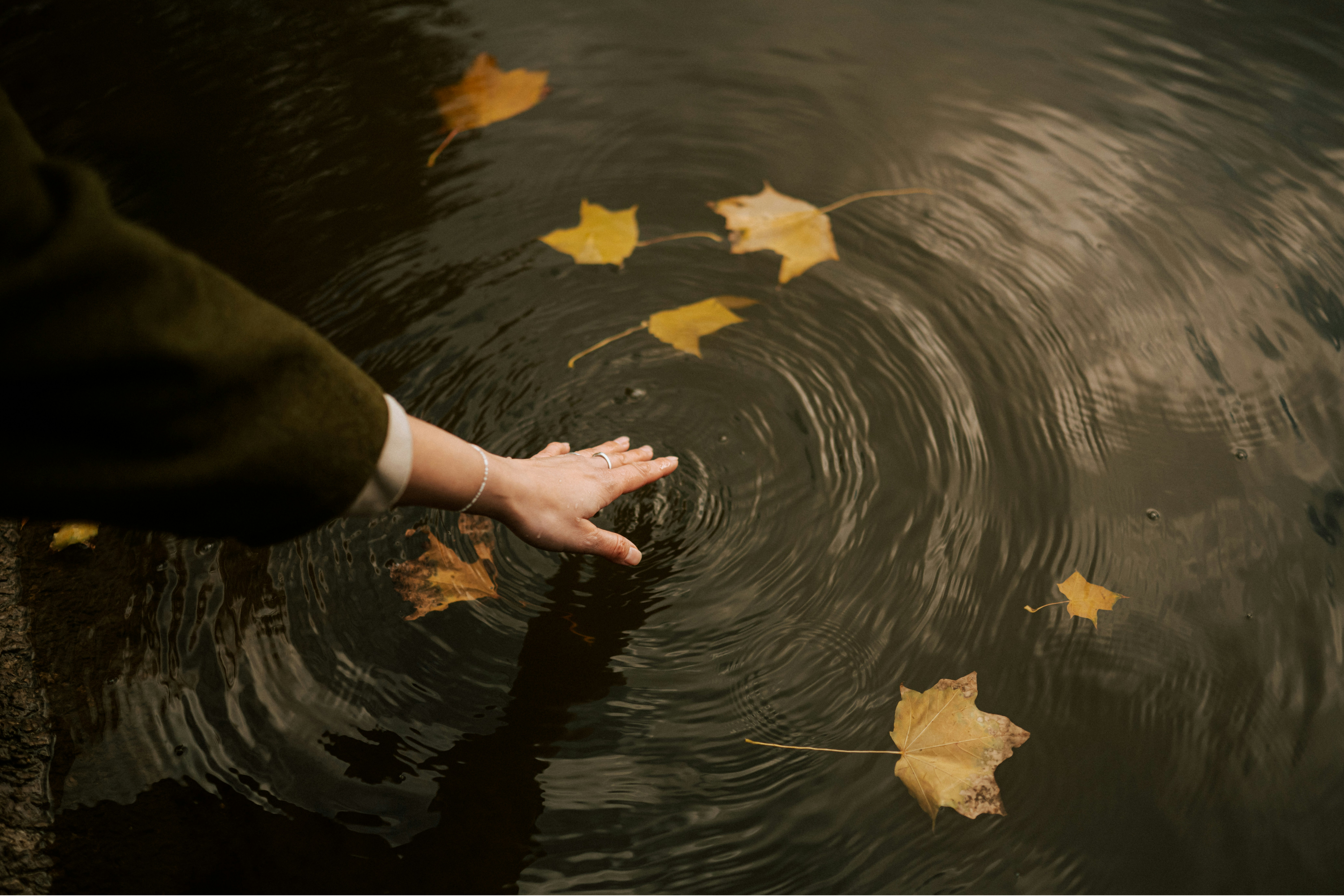 Navigating Grief: A Way Through