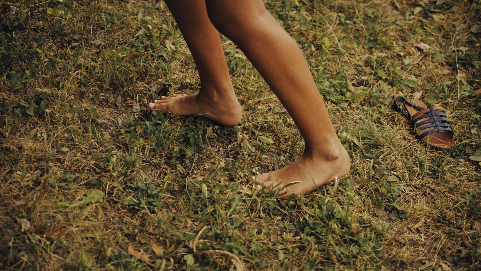 Pause & Reconnect: Grounding Rituals for Career and Life Transitions