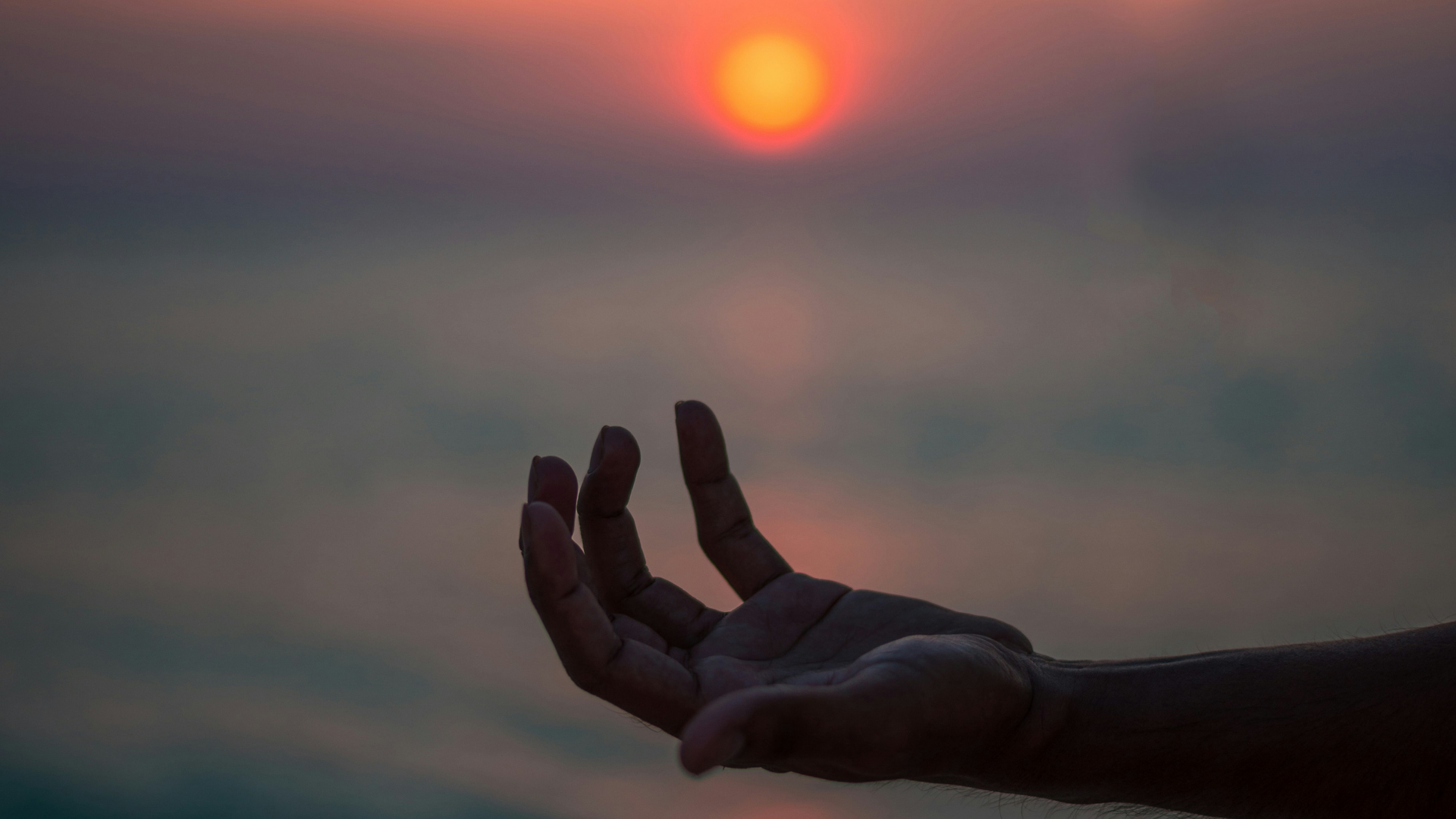 The Integrative Wellness Blueprint