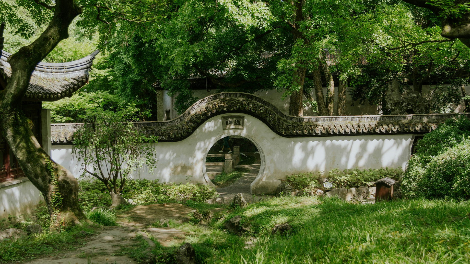 Your Inner Sanctuary: Guided Imagery for Calm & Safety