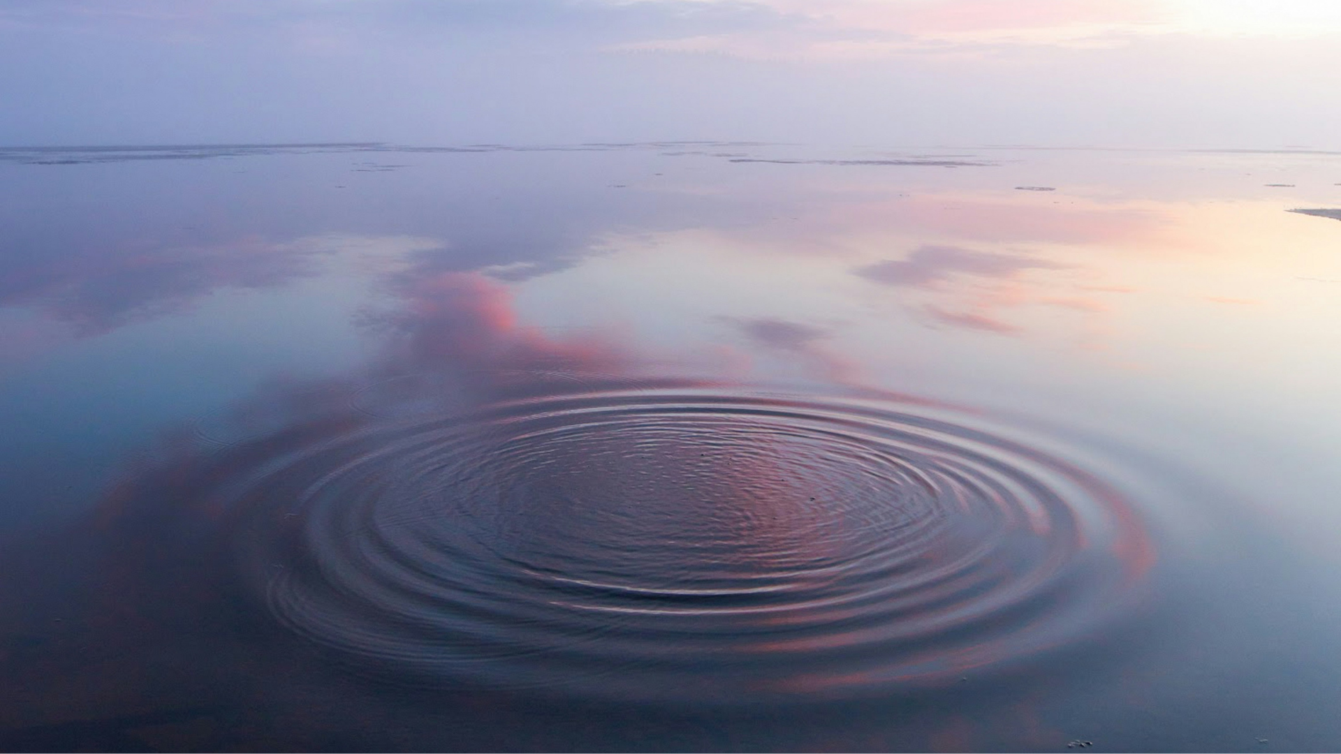 Energy Alchemy Session: Intuitive Healing and Alignment