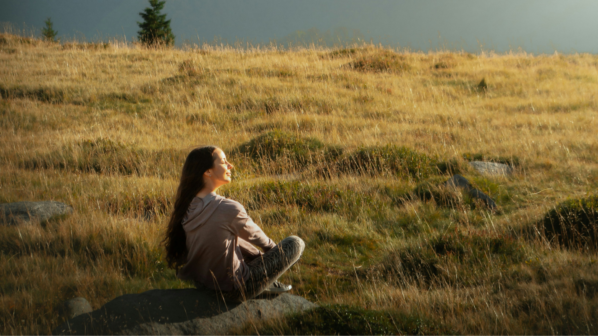 Build Your Mindfulness Practice