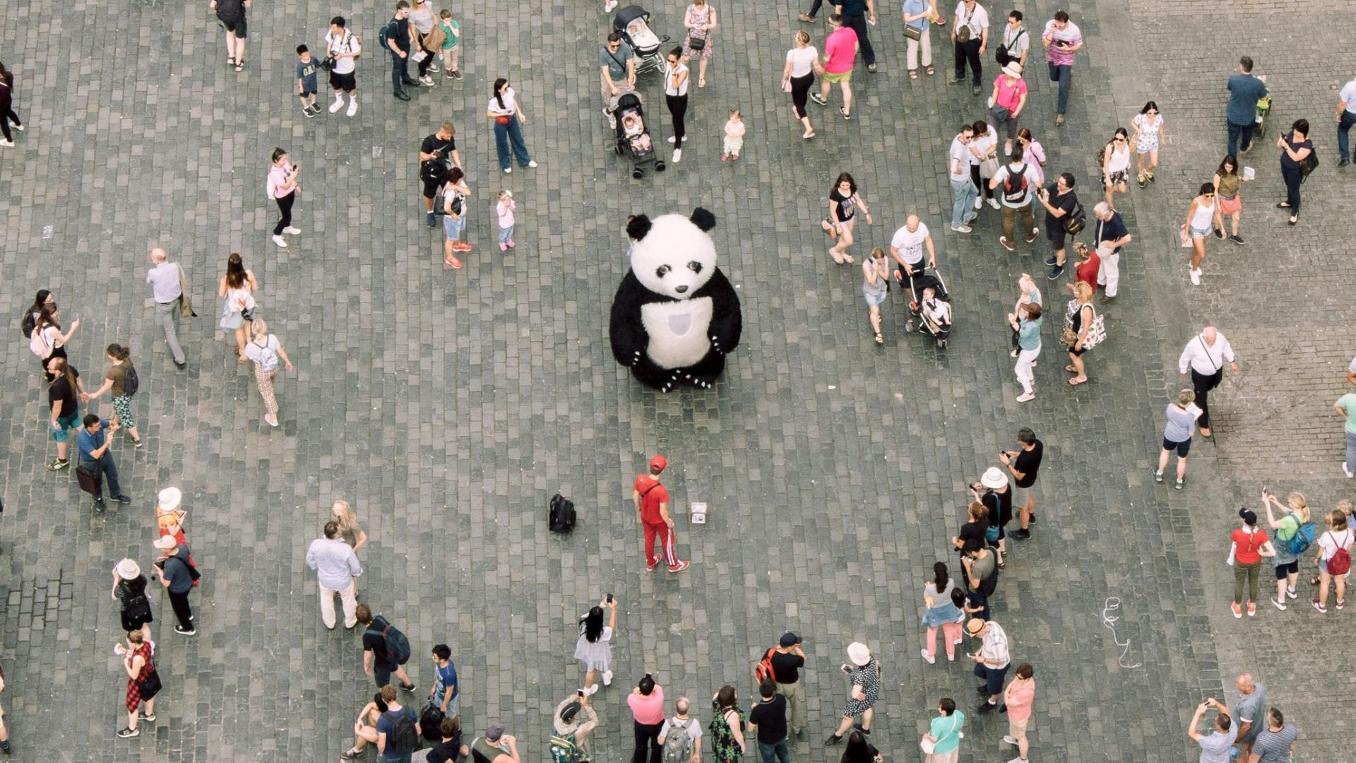 Unmute Yourself: Speak Up and Stand Out at Work