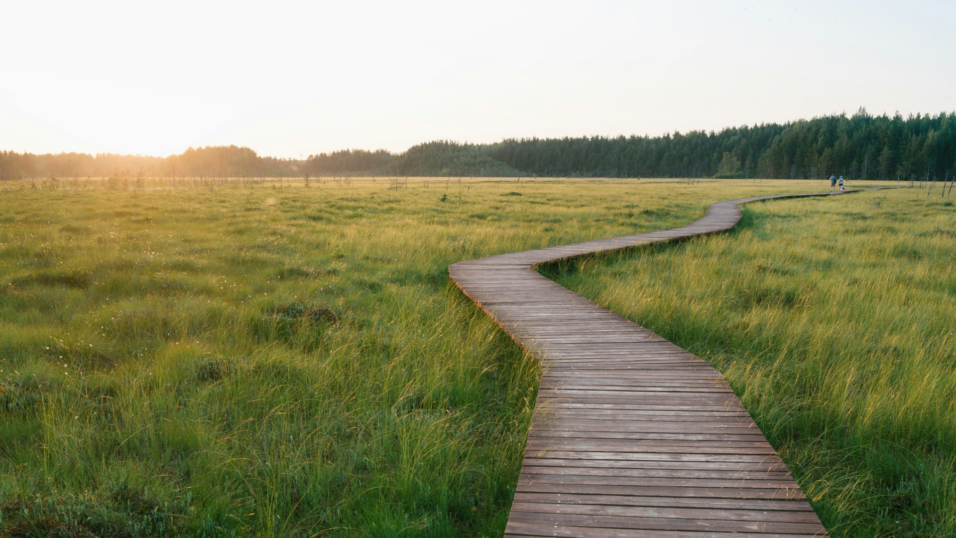 Serious Illness Diagnosis Support: Find Your Next Steps
