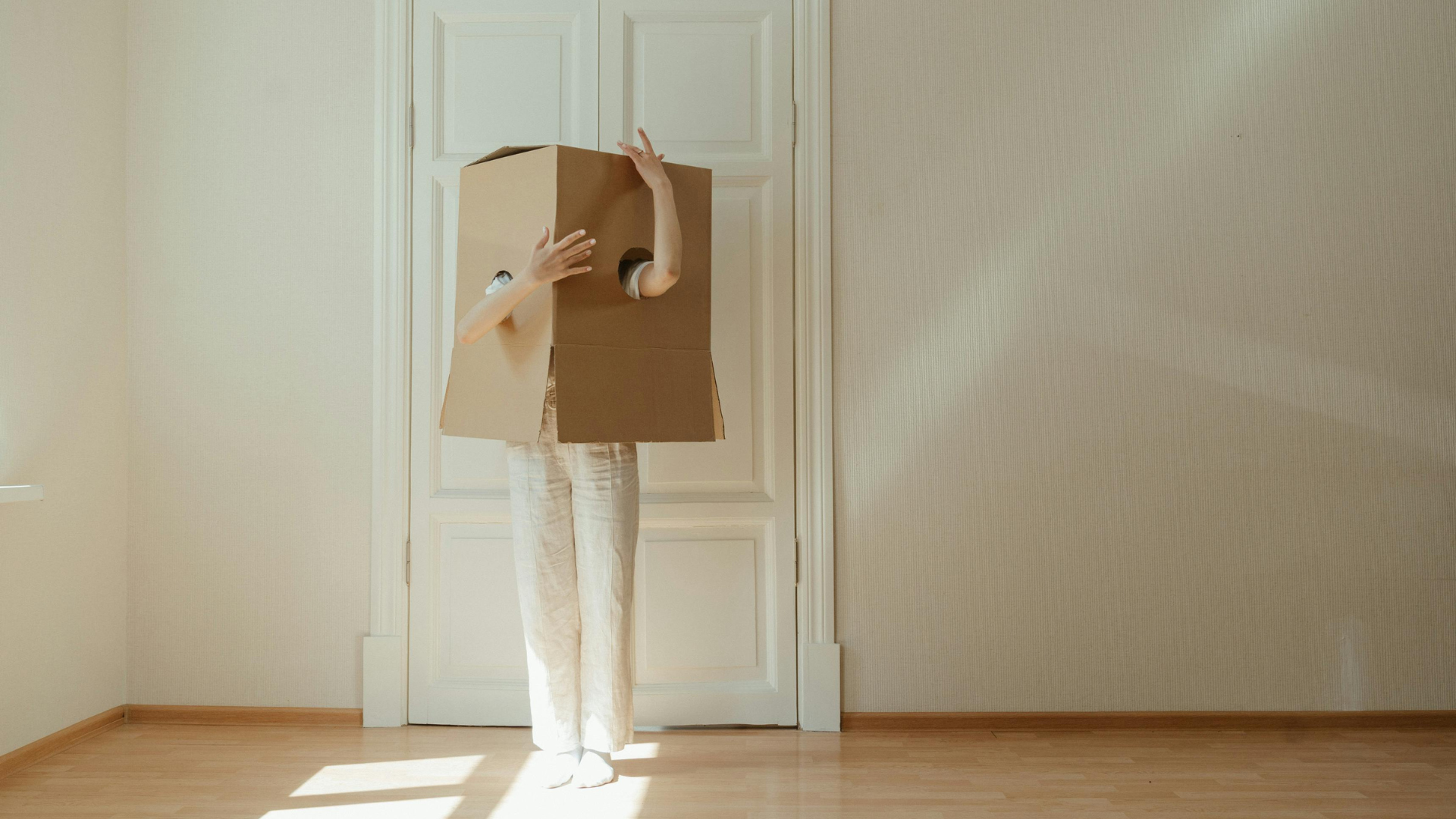 Navigating Change: The 5 Key Domains of Transition